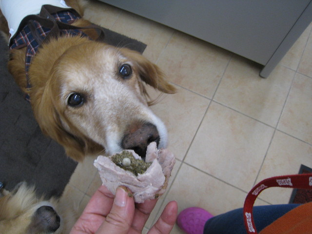 ファイル 697-2.jpg