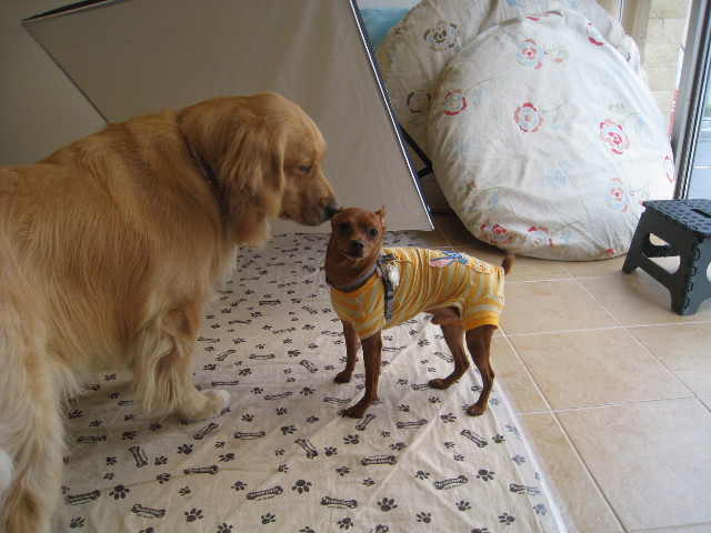 ファイル 697-3.jpg