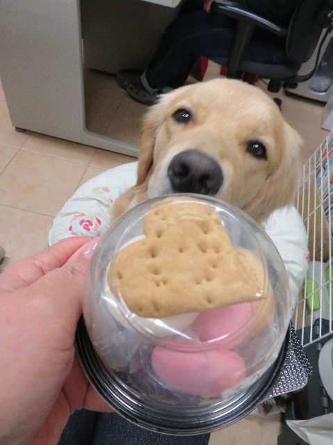 ファイル 6971-5.jpg