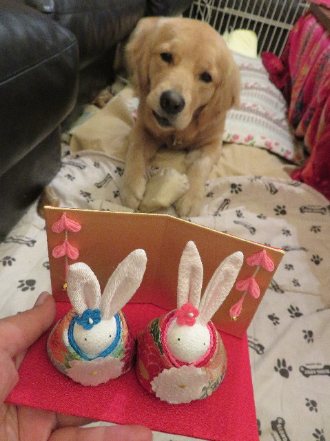 ファイル 6972-2.jpg