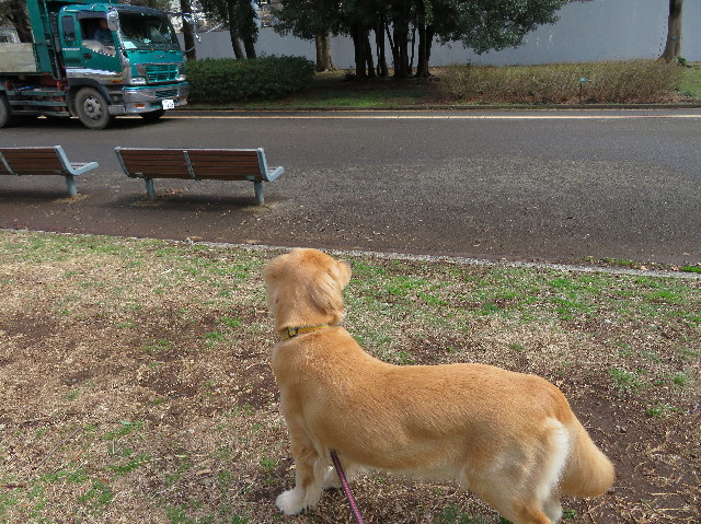 ファイル 6989-1.jpg