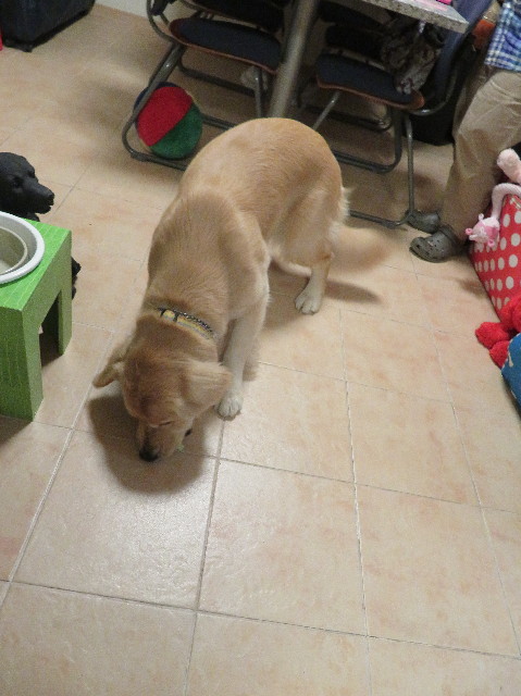 ファイル 6989-4.jpg