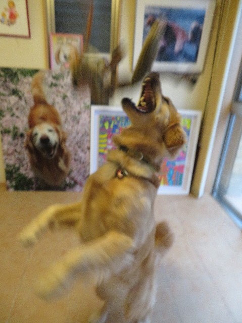 ファイル 6991-4.jpg