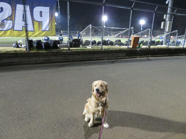 ファイル 6993-3.jpg