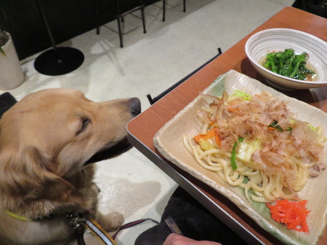 ファイル 6993-4.jpg