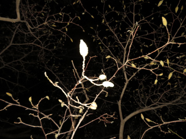 ファイル 6993-5.jpg