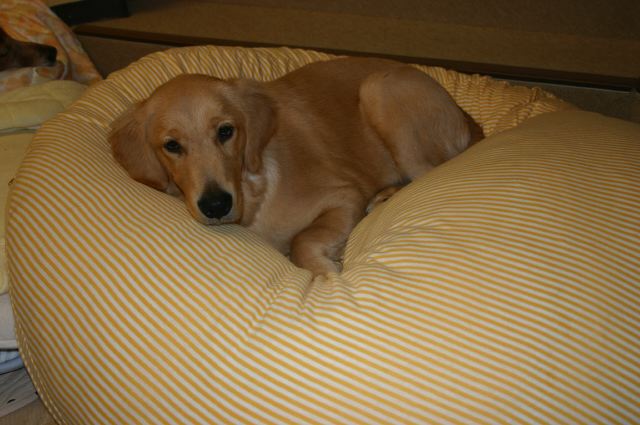 ファイル 70-1.jpg