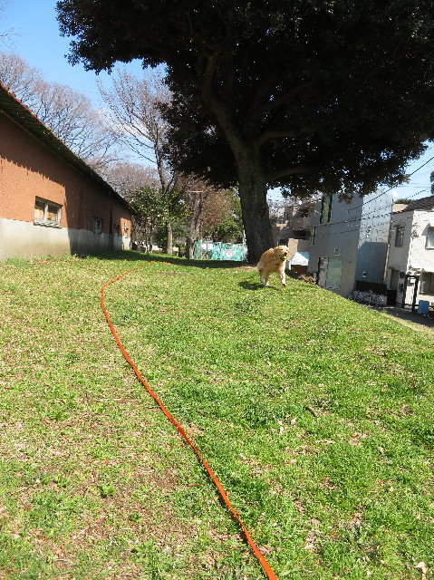 ファイル 7005-1.jpg