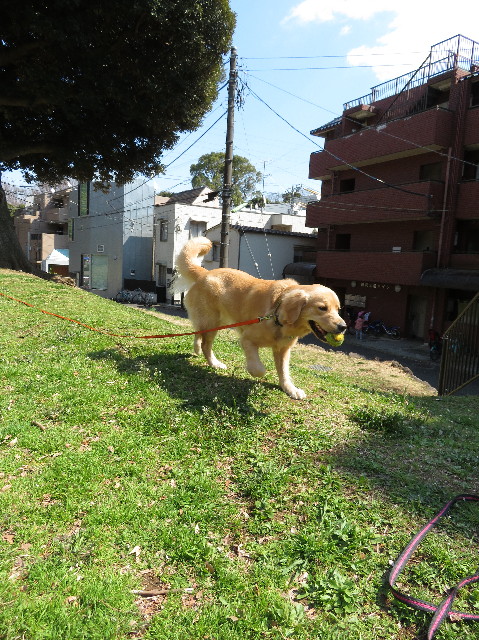 ファイル 7005-3.jpg