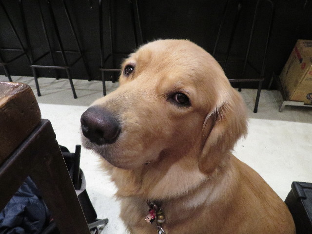 ファイル 7008-5.jpg