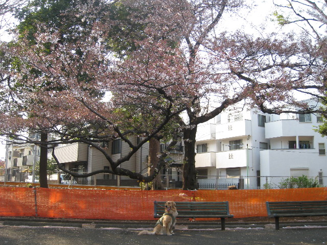 ファイル 701-1.jpg