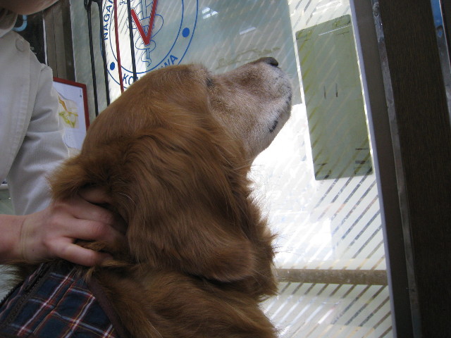 ファイル 701-4.jpg