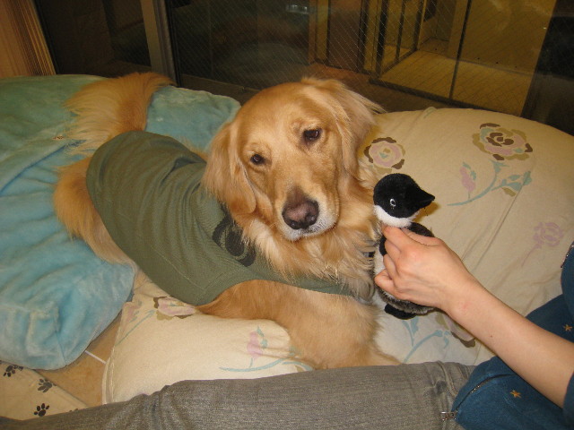 ファイル 701-5.jpg