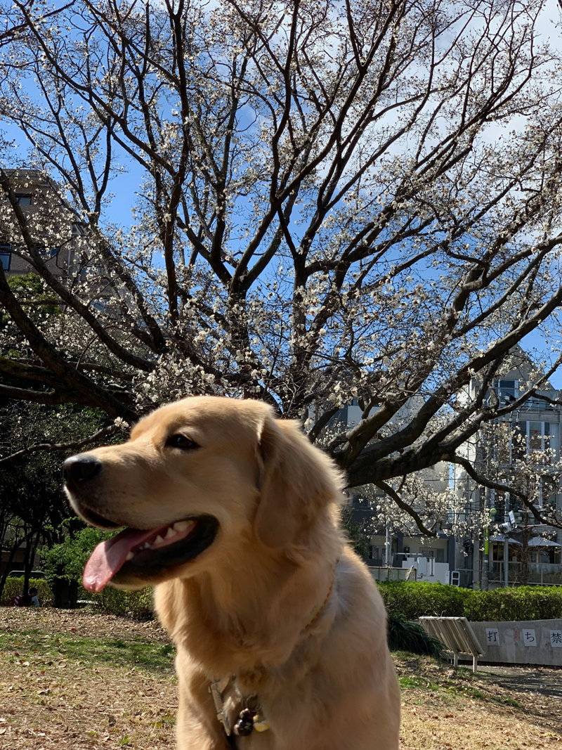 ファイル 7011-1.jpg