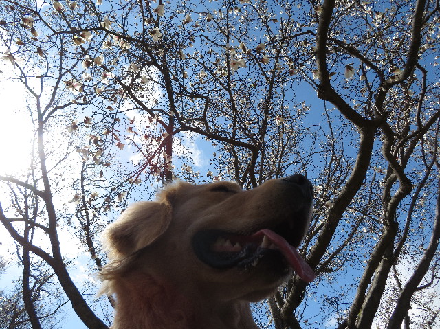 ファイル 7011-3.jpg