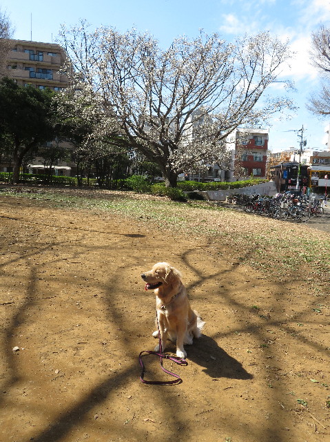 ファイル 7011-5.jpg