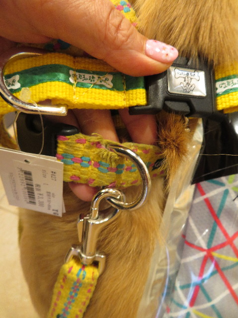 ファイル 7017-2.jpg