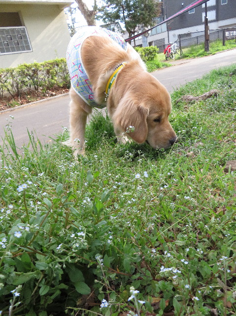 ファイル 7017-4.jpg