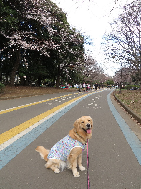 ファイル 7019-2.jpg