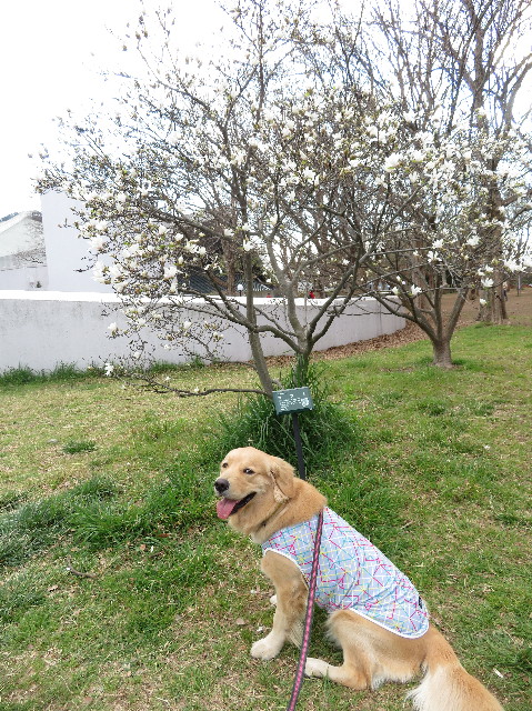 ファイル 7019-3.jpg