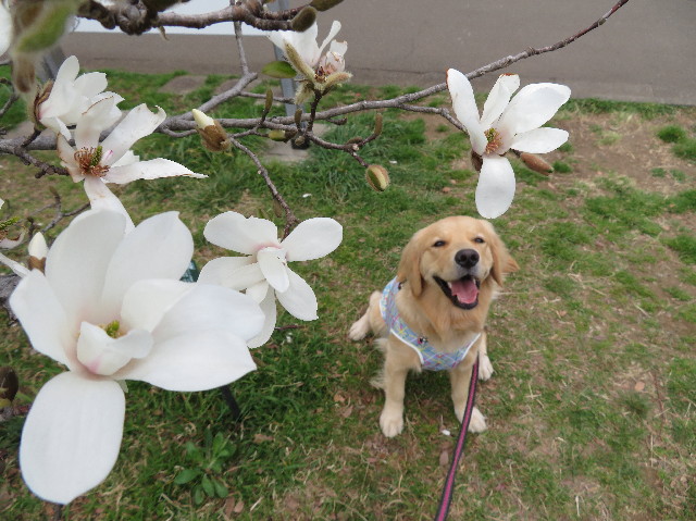 ファイル 7019-4.jpg