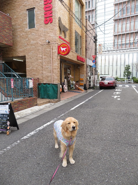 ファイル 7022-1.jpg