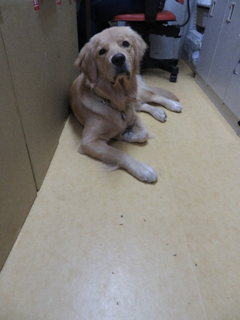 ファイル 7023-1.jpg