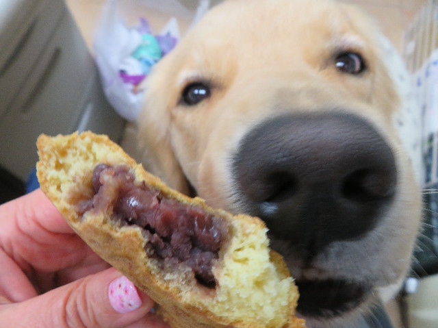 ファイル 7023-5.jpg