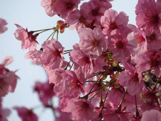 ファイル 7025-3.jpg