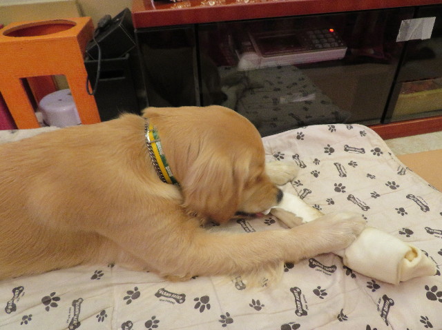 ファイル 7026-1.jpg