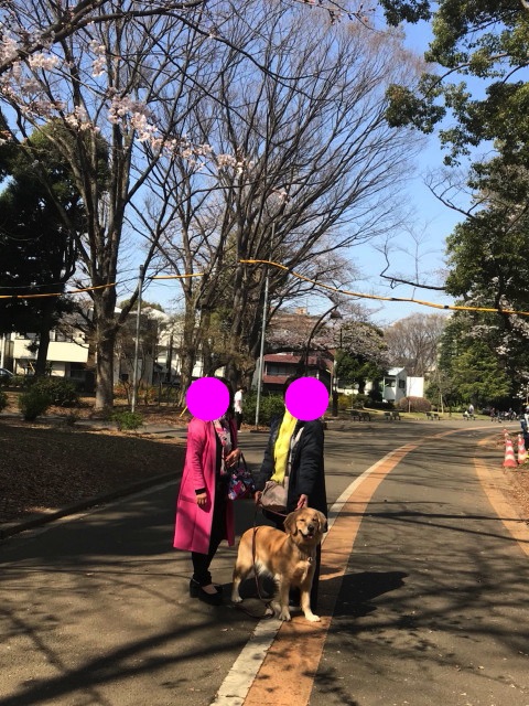 ファイル 7026-3.jpg