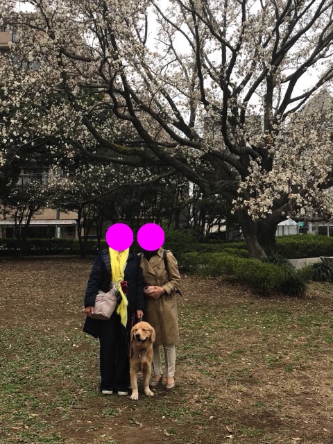 ファイル 7026-4.jpg