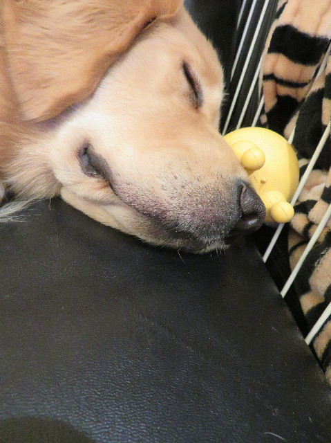 ファイル 7026-5.jpg