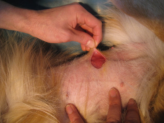 ファイル 703-3.jpg