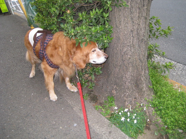 ファイル 703-4.jpg