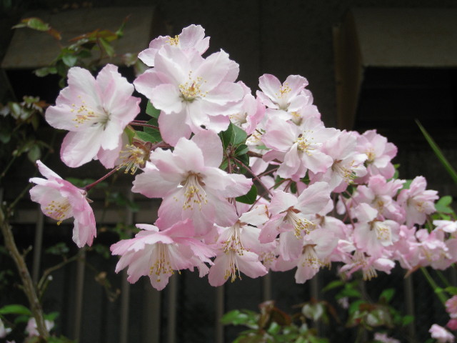 ファイル 703-5.jpg