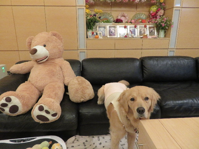 ファイル 7038-2.jpg