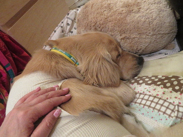 ファイル 7038-4.jpg