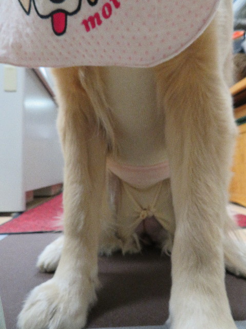 ファイル 7038-5.jpg