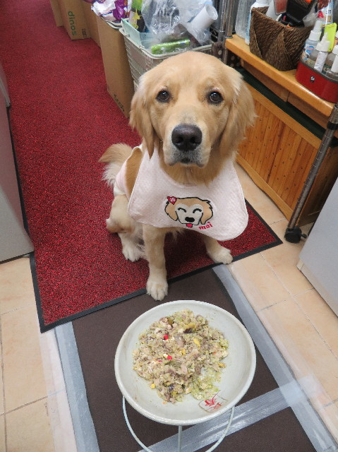 ファイル 7039-2.jpg