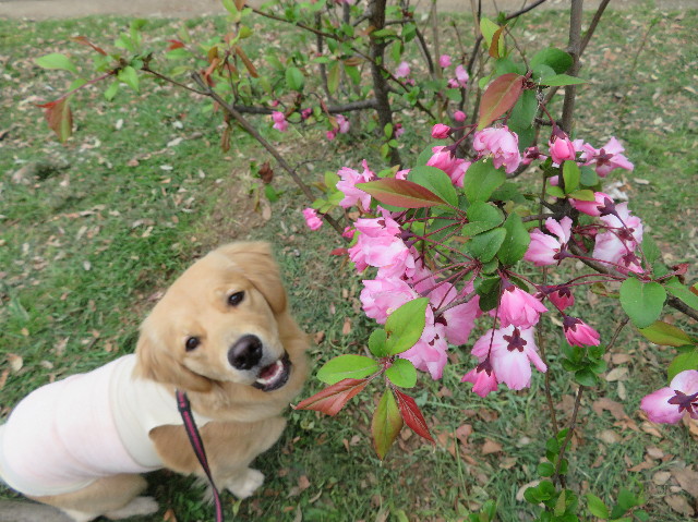 ファイル 7039-3.jpg