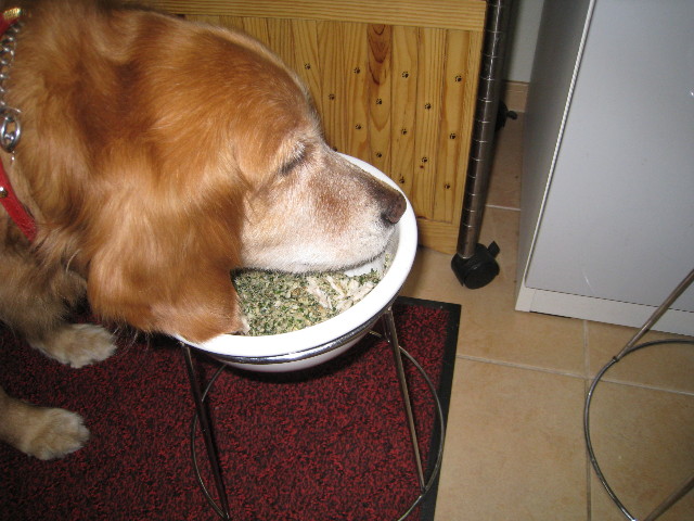 ファイル 704-1.jpg