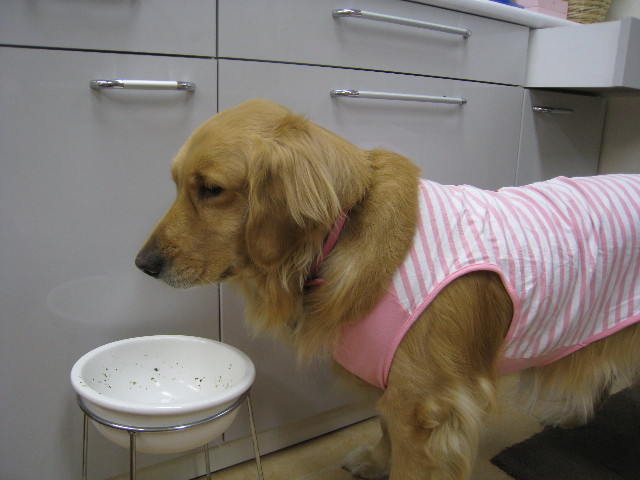 ファイル 704-2.jpg