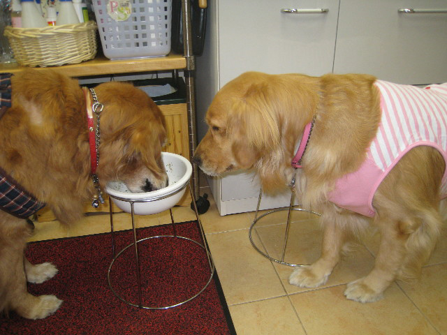 ファイル 704-4.jpg