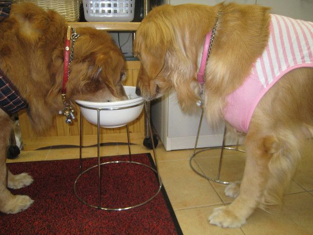 ファイル 704-5.jpg