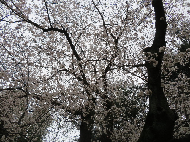 ファイル 7040-3.jpg