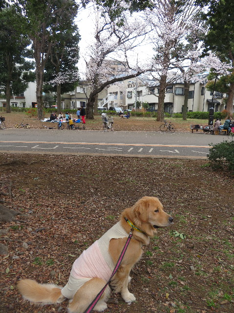 ファイル 7040-4.jpg