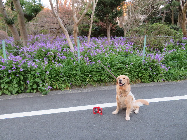 ファイル 7046-3.jpg