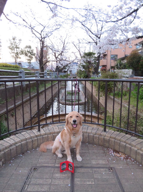 ファイル 7047-3.jpg