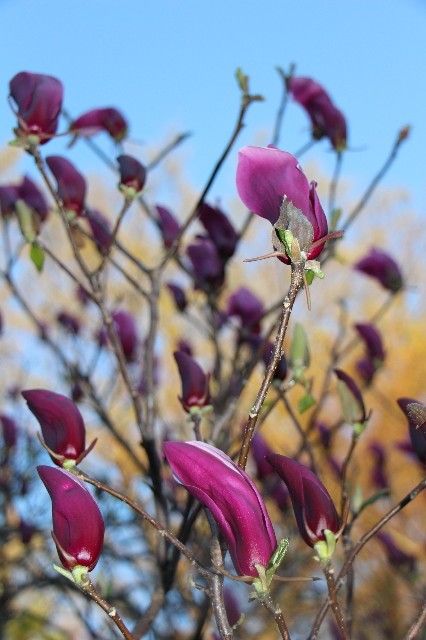 ファイル 7050-3.jpg